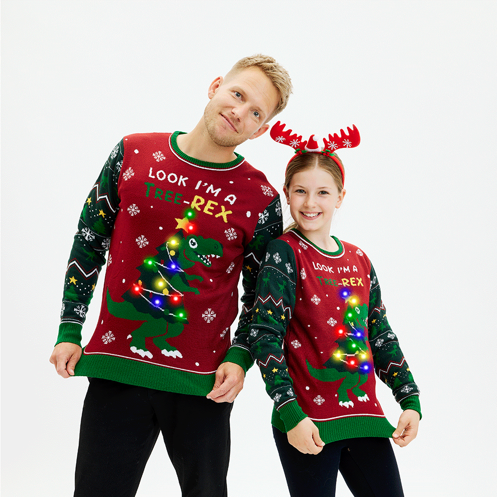 The Tree-REX Sweater - Homme