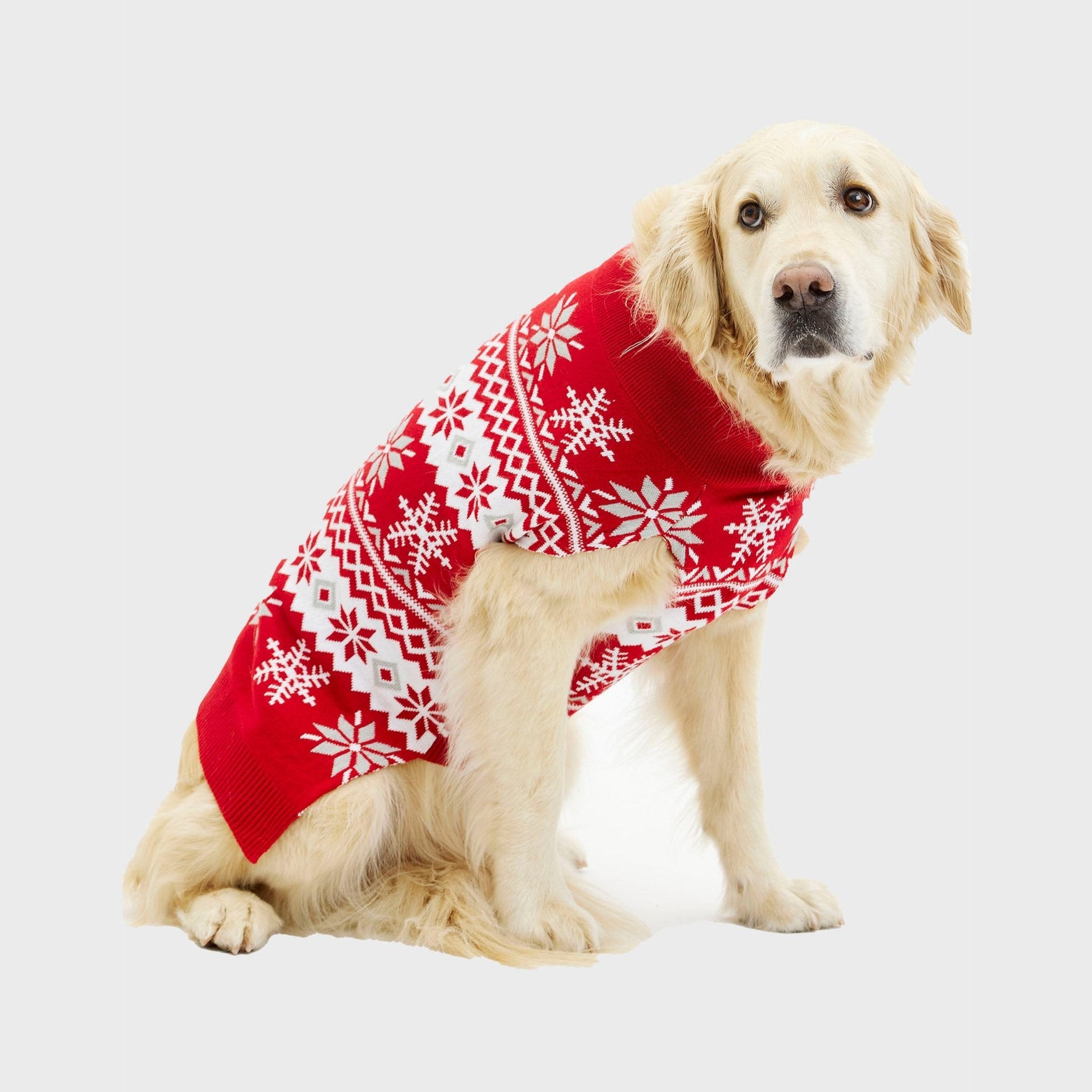 De schattige honden Kersttrui