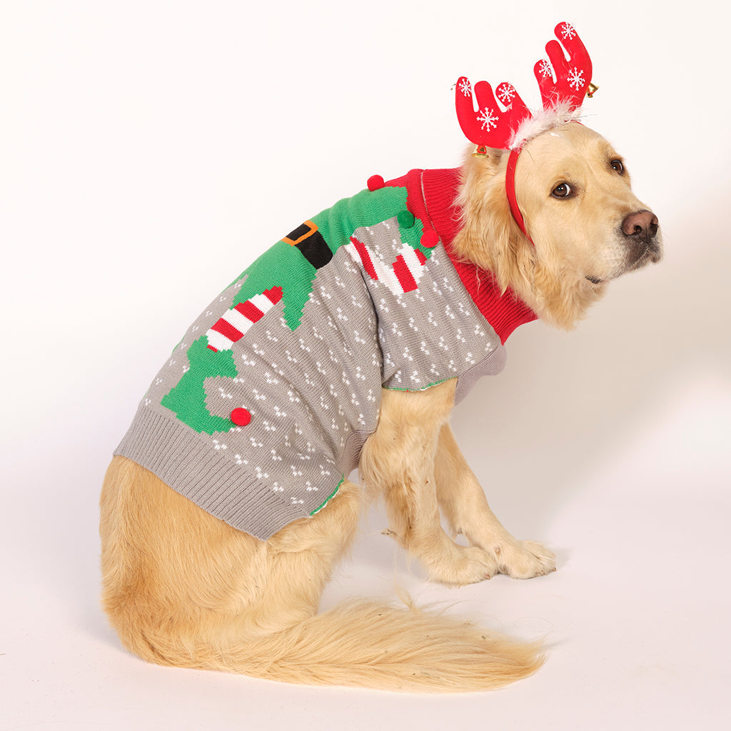En lys hund med en julesweater på.