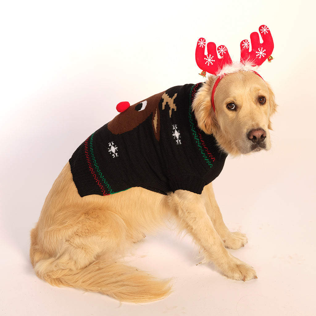 En sød hund med en sort julesweater.